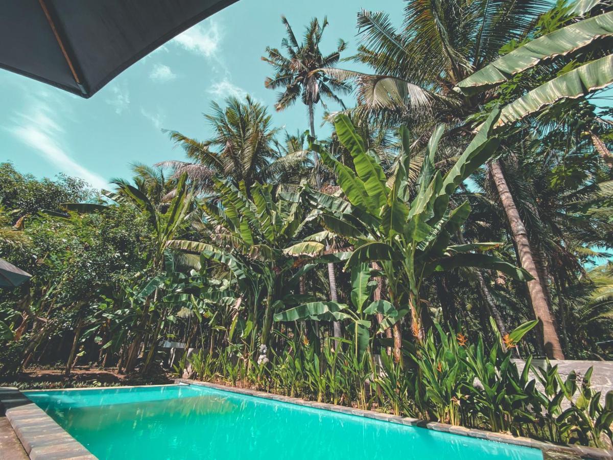 The Valley Green Cottage And Massage Ped Luaran gambar